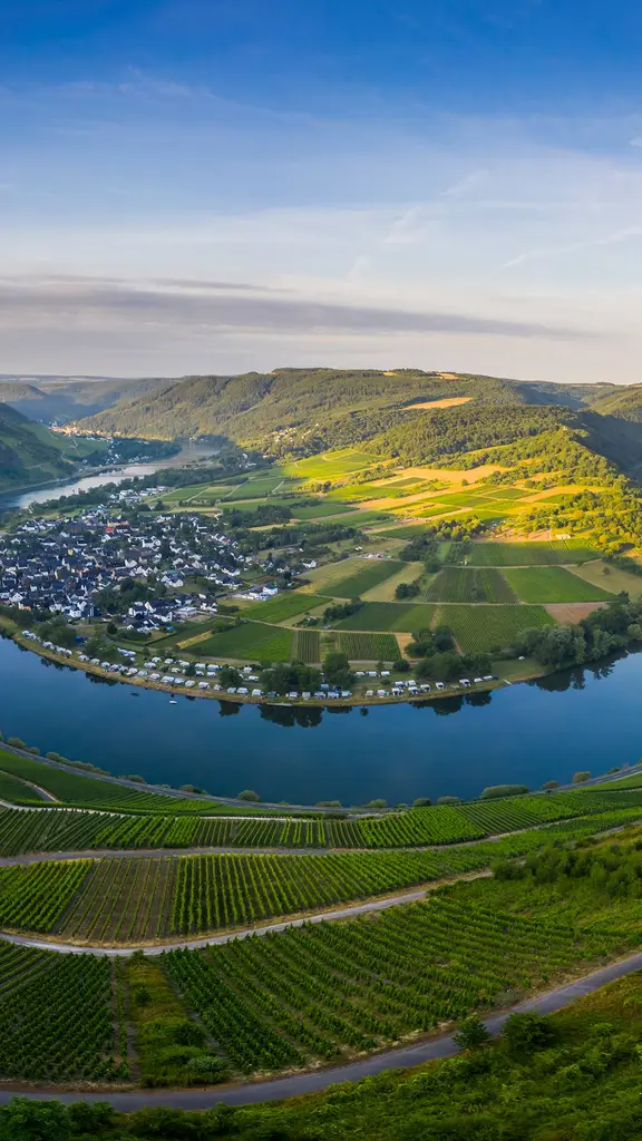 Ansa rigogliosa del fiume Mosella