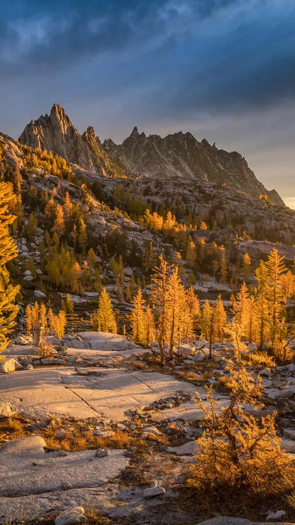 金色のカラマツ林とプルシク峰