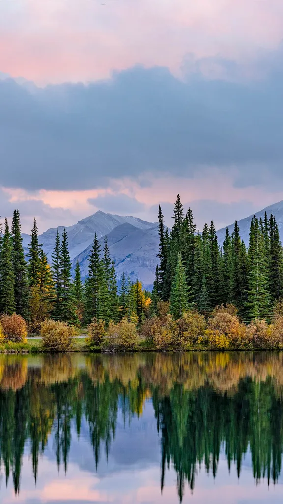 Pine trees reflected in the Forgetmenot Pond in Kananaskis Country, Alberta, Canada