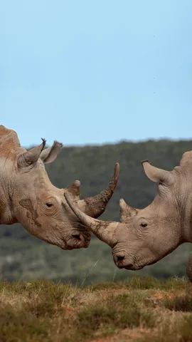 Scusa per averti rovinato la festa