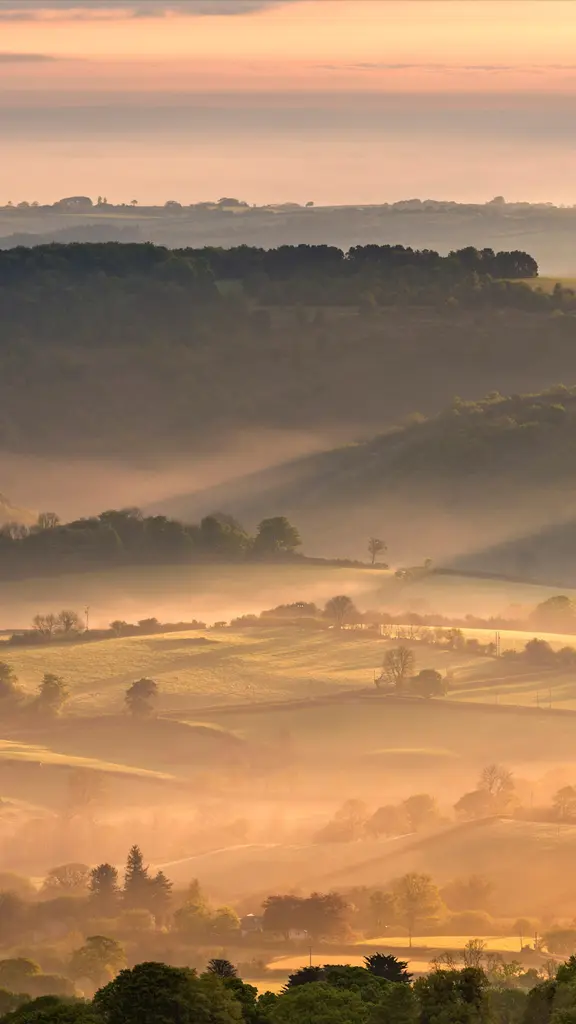 大雾笼罩着达特穆尔