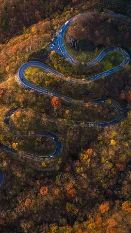 La route qui &eacute;crit l'automne