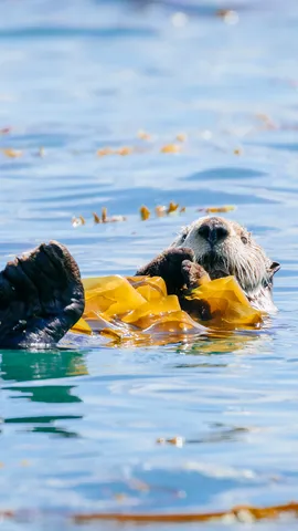 D&eacute;tente, restauration et relaxation !