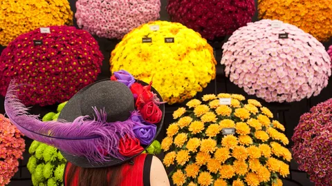 A peony for your thoughts