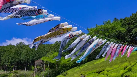 今日はこどもの日