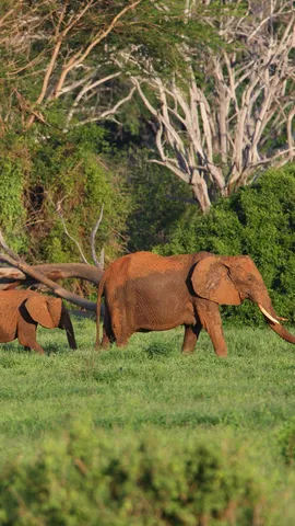 今日は世界教師デー