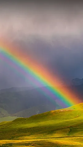 Navega por la iridiscencia