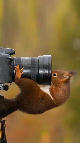 I'm ready for my close-up, Mr. DeSquirrel