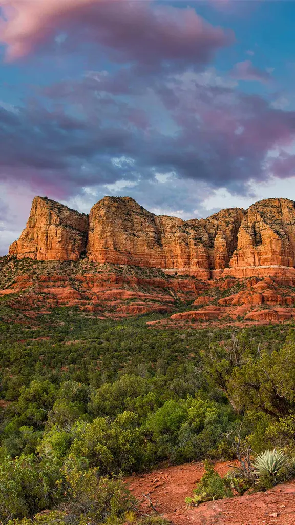 Heilende Energieoase