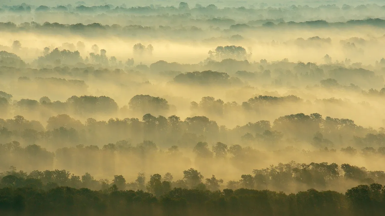 Where roots run wild