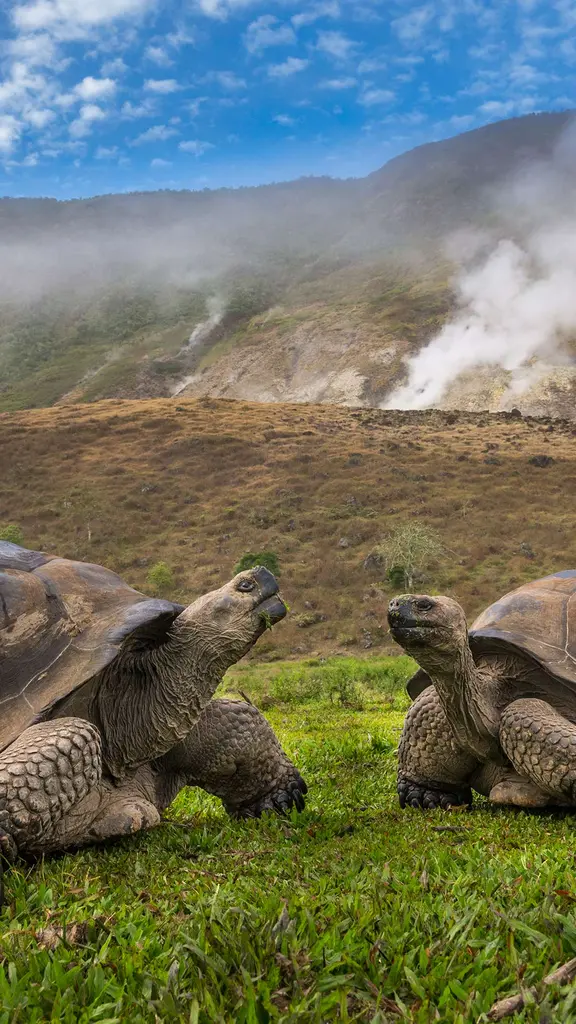 今日はダーウィンの日