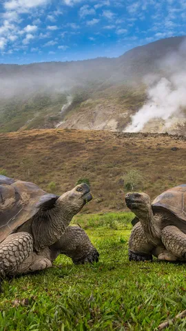 甜蜜的火山家园