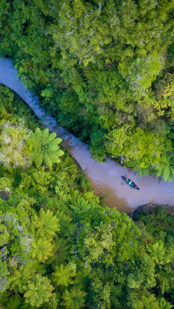 Whanganui National Park, Retaruke, New Zealand