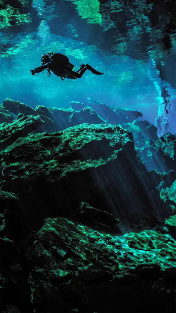 地面之下的水中世界