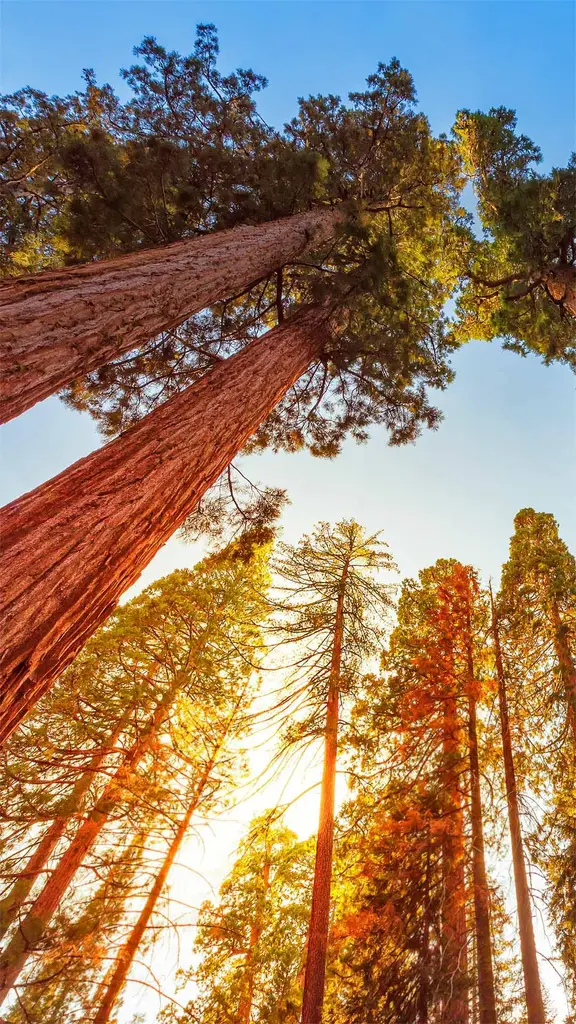 Things are looking up