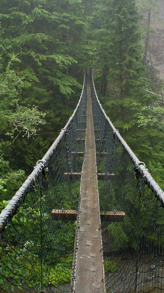 Por encima de lo salvaje