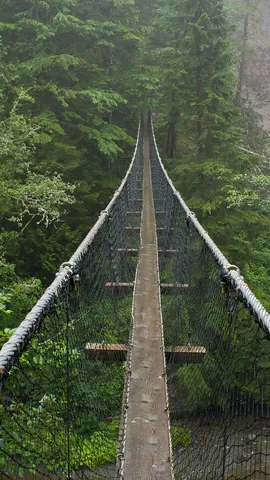 Por encima de lo salvaje