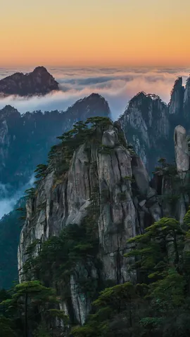 今天我们去爬山吧