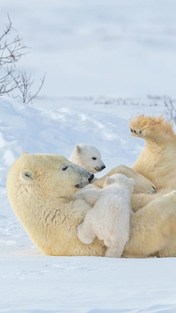 Un v&iacute;nculo que perdura