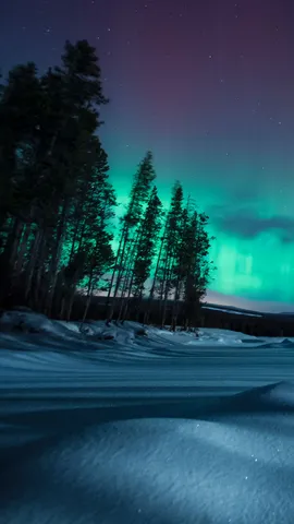 Chasing the Northern Lights
