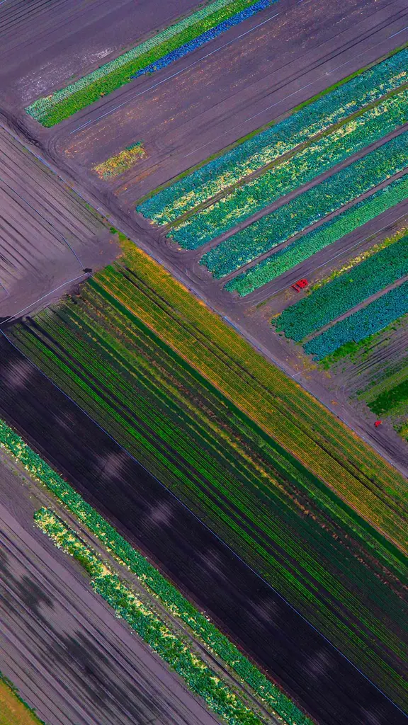 Farbenspiel der Felder