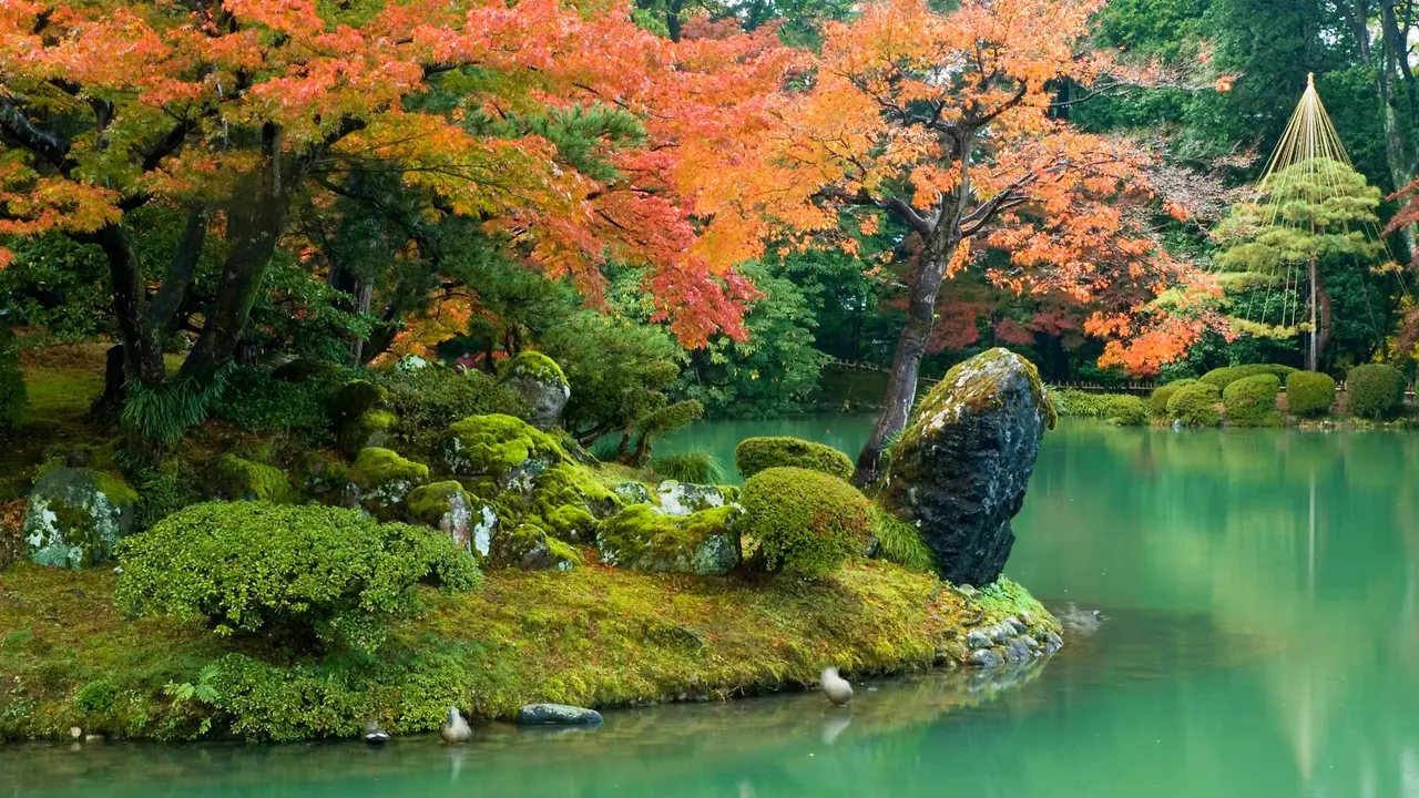 紅葉に彩られた日本庭園