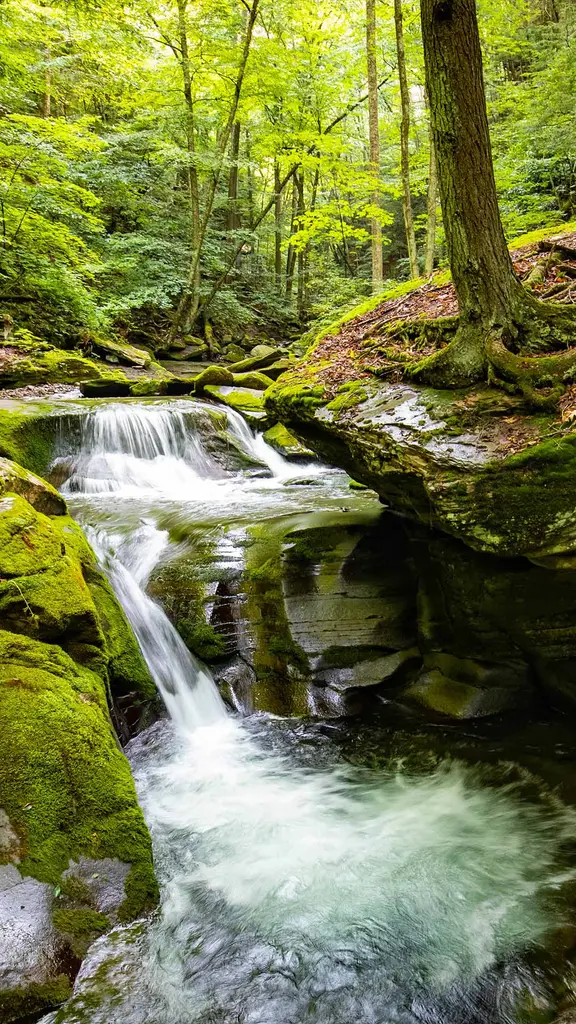 岩々の間を流れる清らかな小川