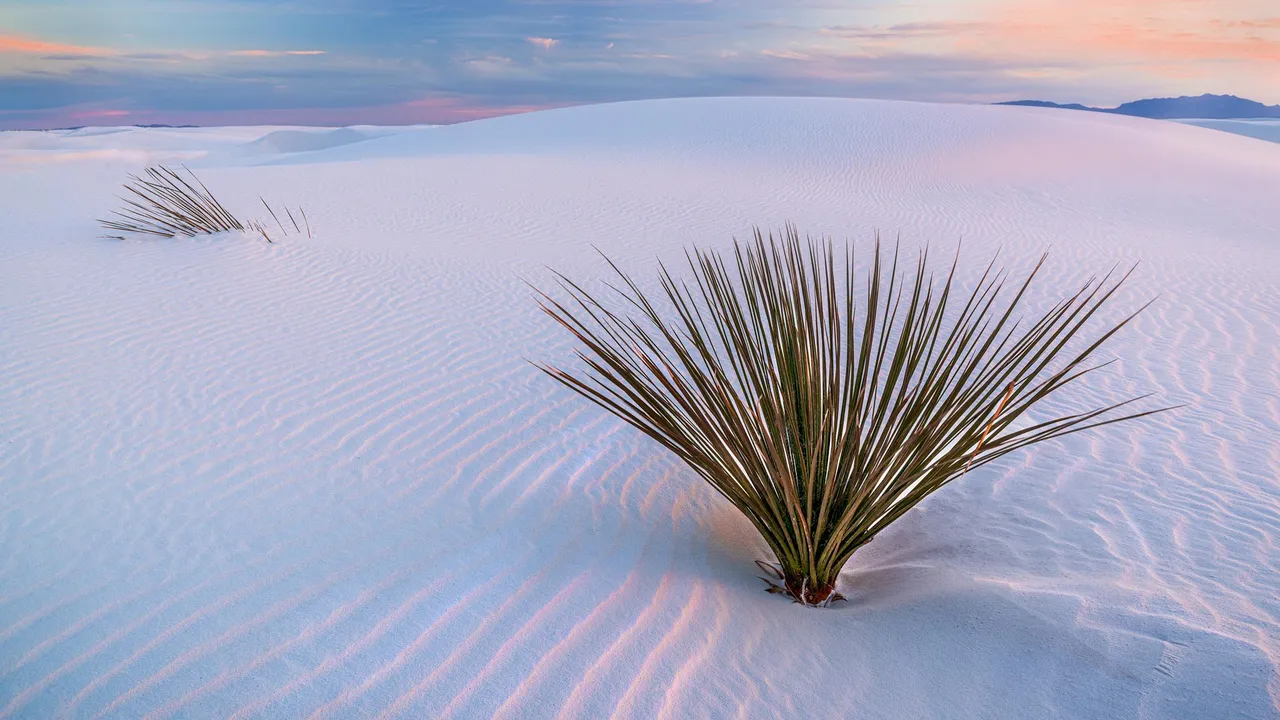 White Sands National Park, New Mexico, United States