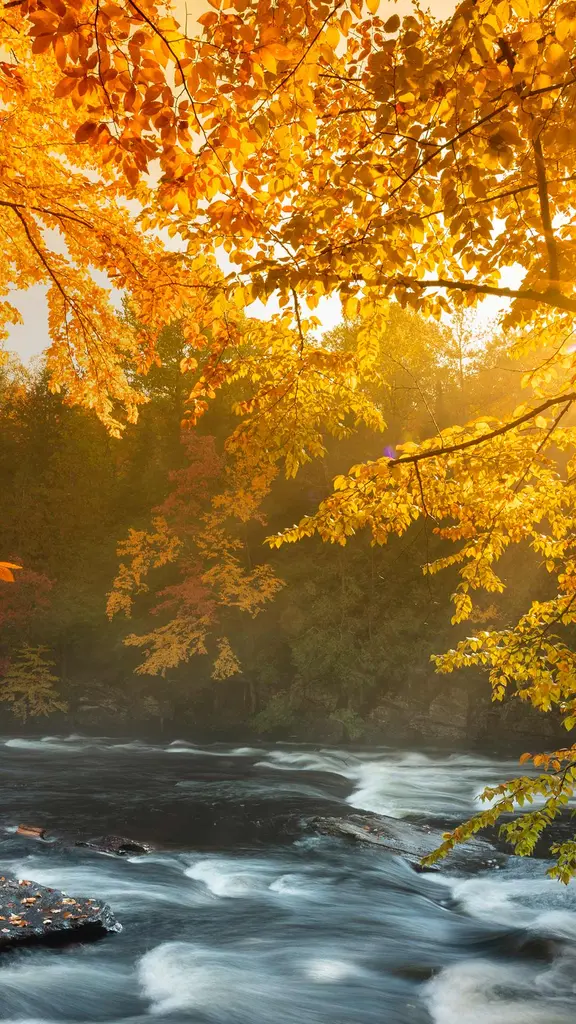 Ontario's wild heart