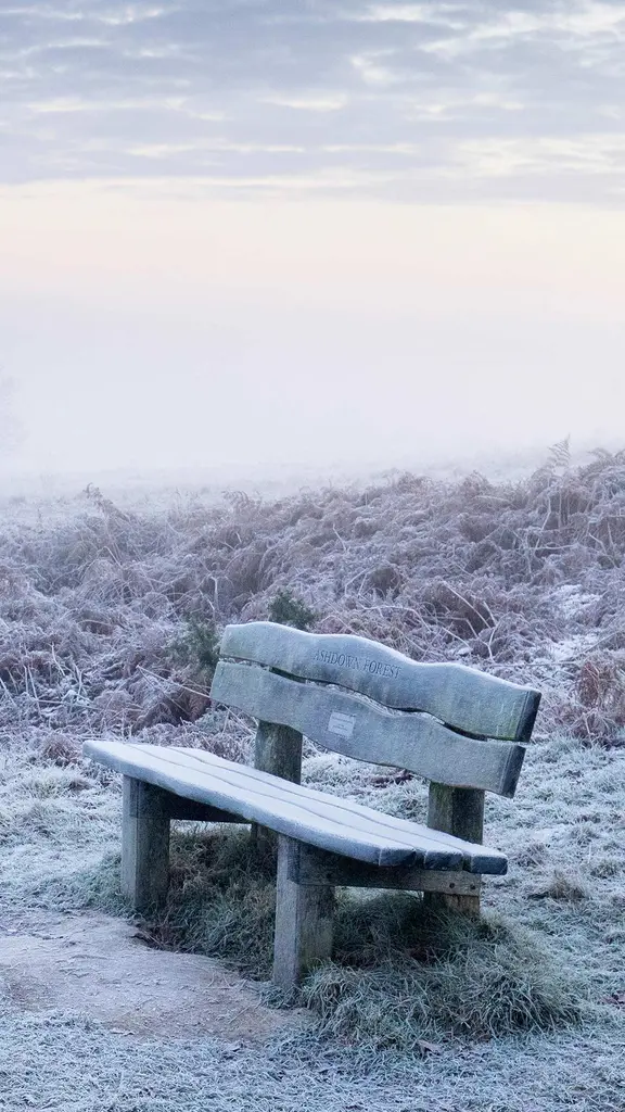 Home of Winnie-the-Pooh