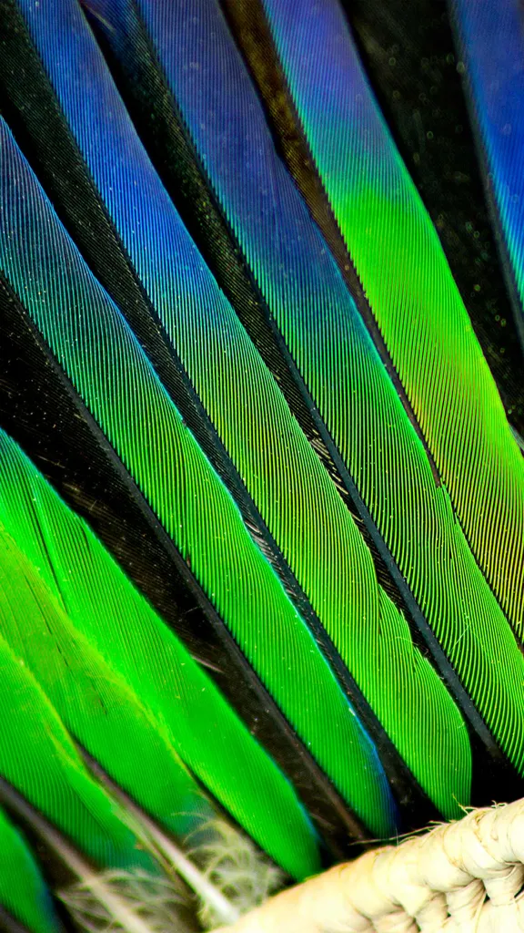 Uma linguagem que n&atilde;o pede tradu&ccedil;&atilde;o