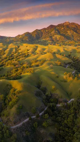 Sognando la California?