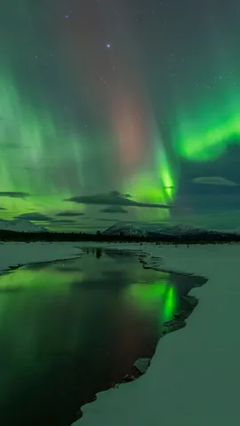 守候浪漫的极光