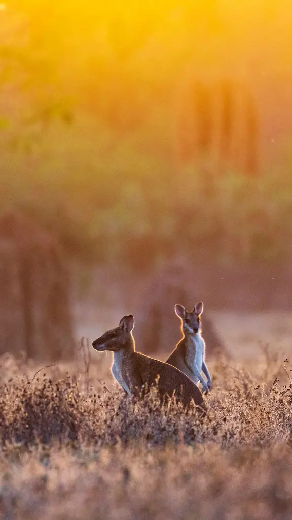 蹦蹦跳跳，快乐到老