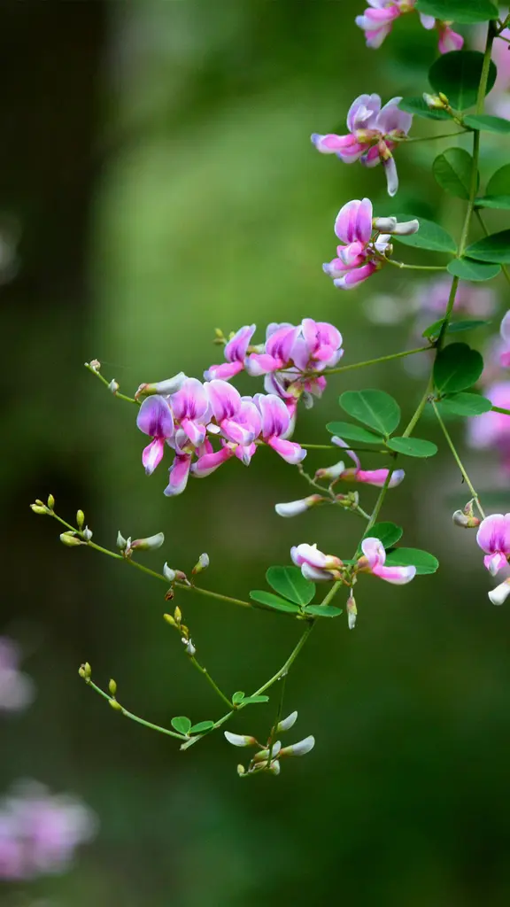 今日は秋分の日