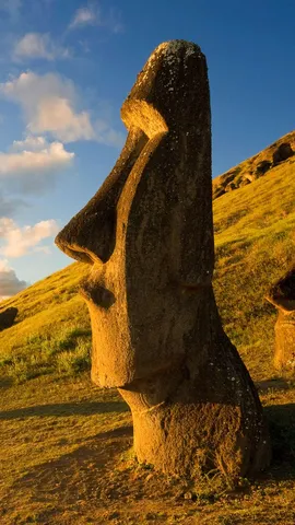 未完成巨像的静默