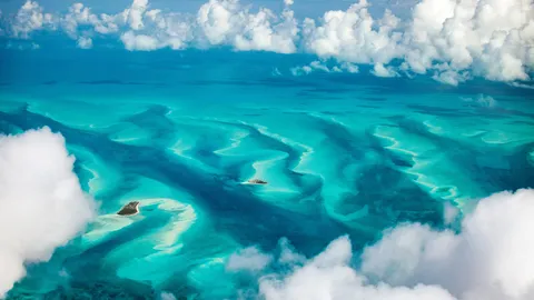 To the waves of freedom