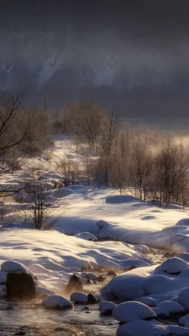 今日 は「大雪」