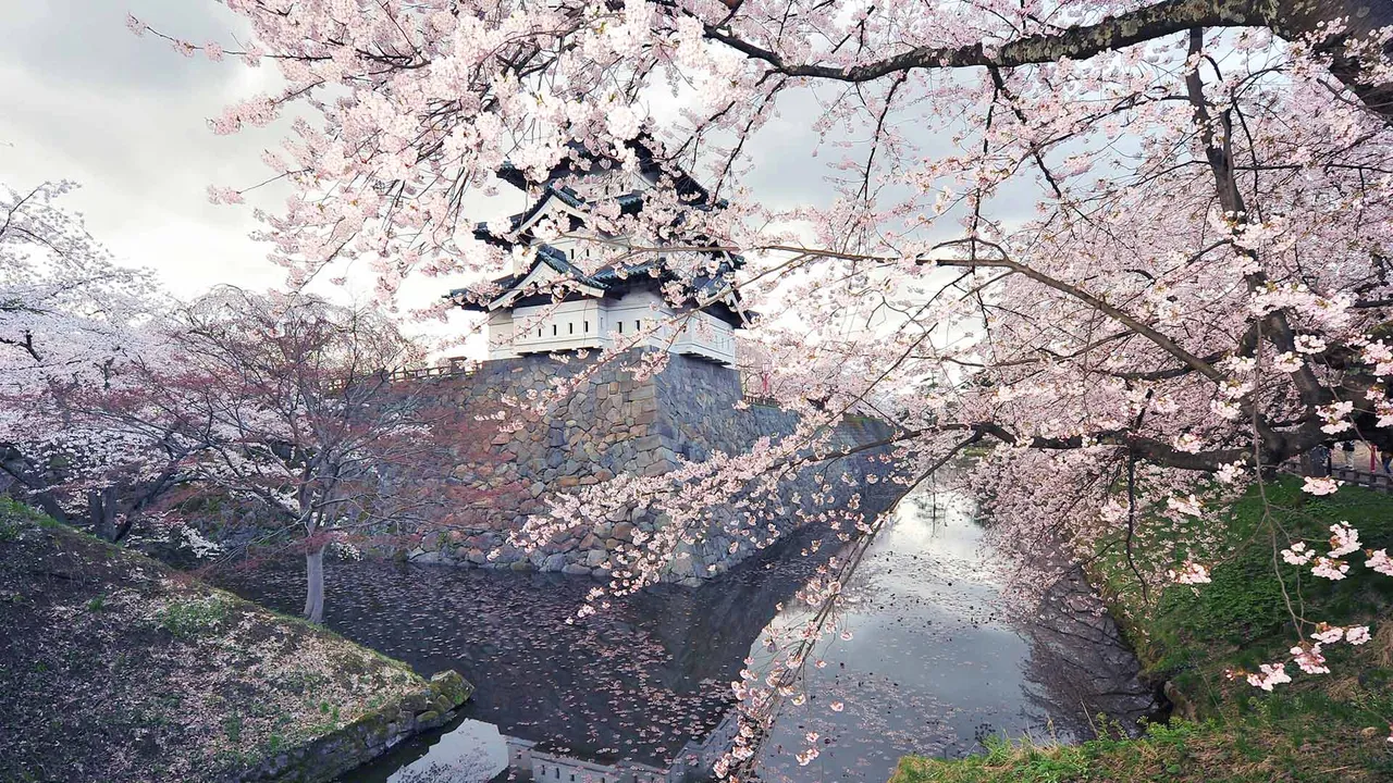 芬芳四月