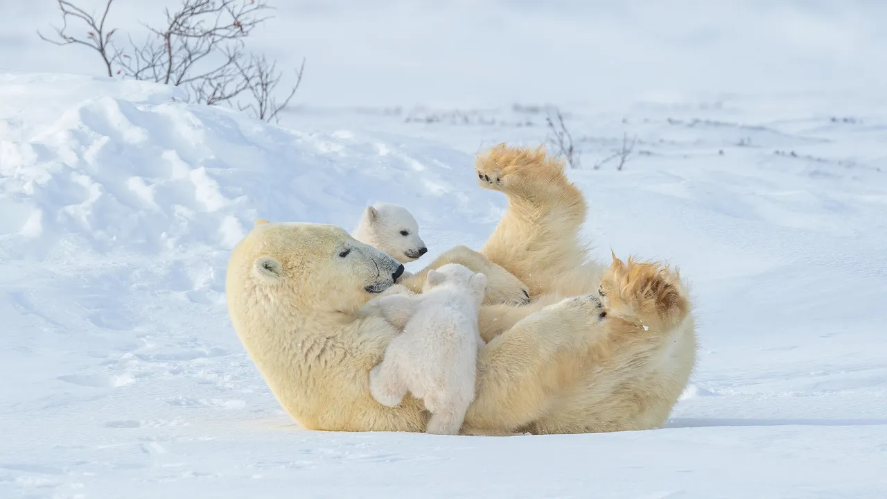 Un v&iacute;nculo que perdura