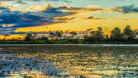 Ando devagar porque j&aacute; tive pressa...