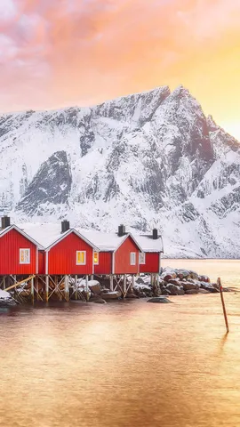 Ein Hauch von Rot im Winterparadies