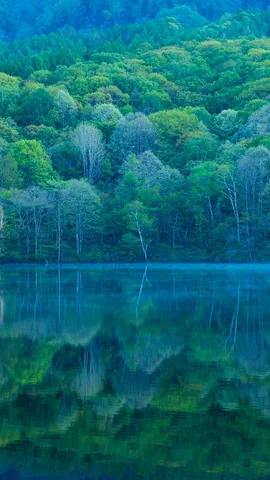 A mirror reflecting nature's beauty