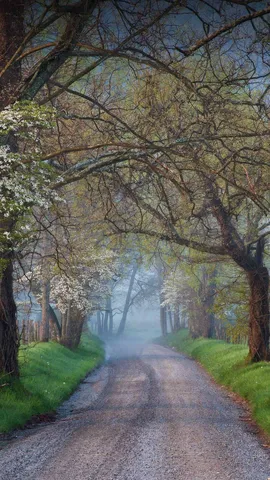 A estrada n&atilde;o trilhada