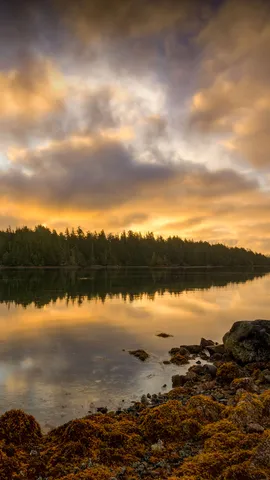 流浪者未必都是迷路人