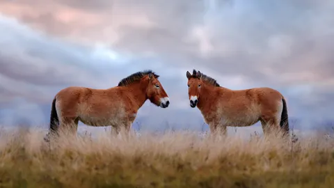 Solo due amici che si divertono