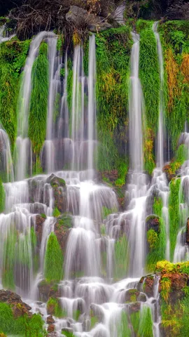 什么是地球上最珍贵的资源？