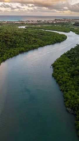 Um sil&ecirc;ncio que respira