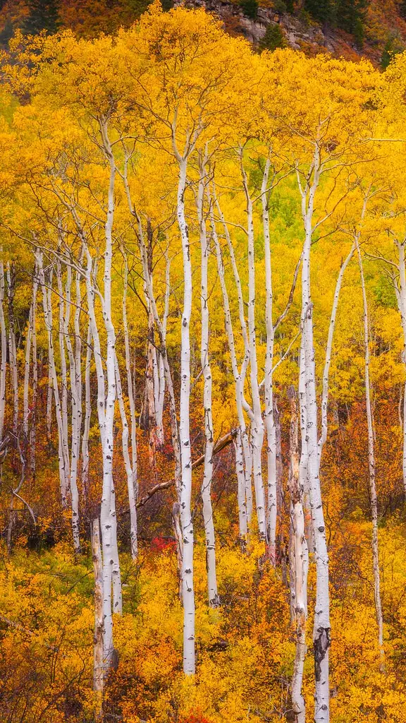 Le Colorado haut en couleur