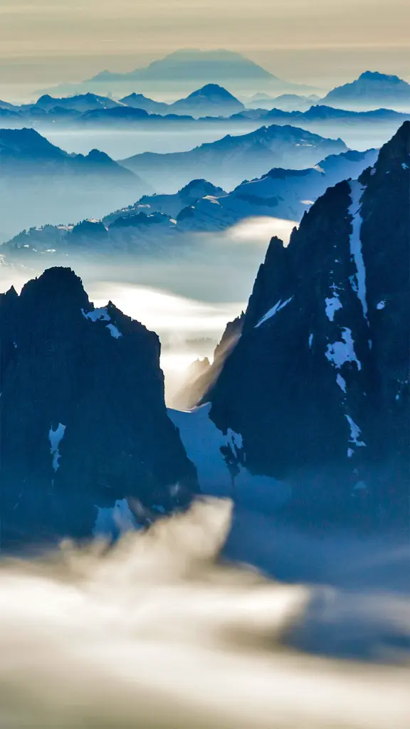 令人惊叹的后花园